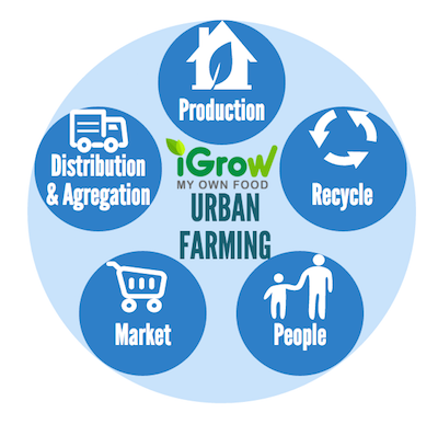 Urban_Farming