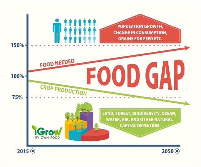 food gap