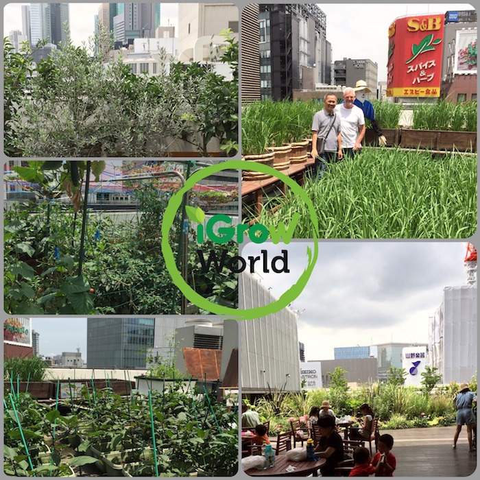 Ultimate Urban Farming : High Rise Roof-Top Farming In Tokyo